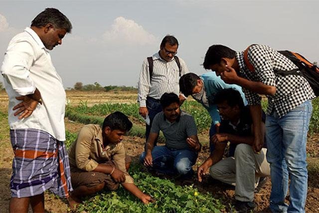 Skilling and Career Development